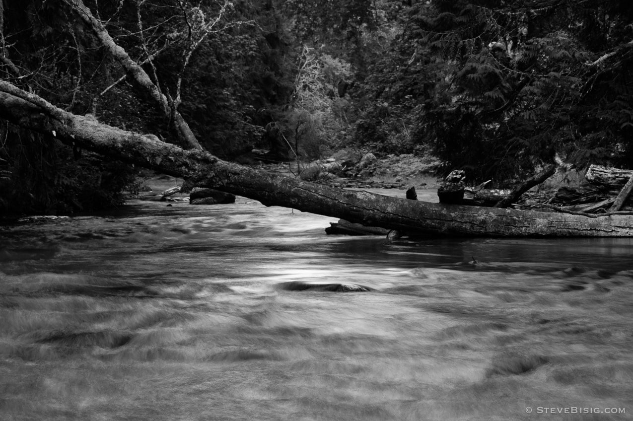 A black and white, long exposure photograph of the Lyre River on the Olympic Peninsula in Washington State.