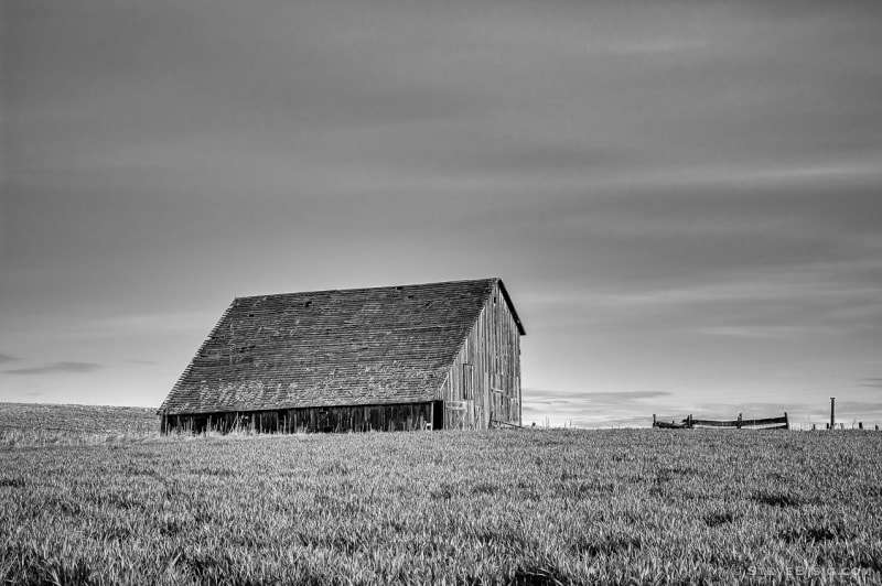 Abandoned Barn, 8-1/2 Road NW, Douglas County, Washington, 2013