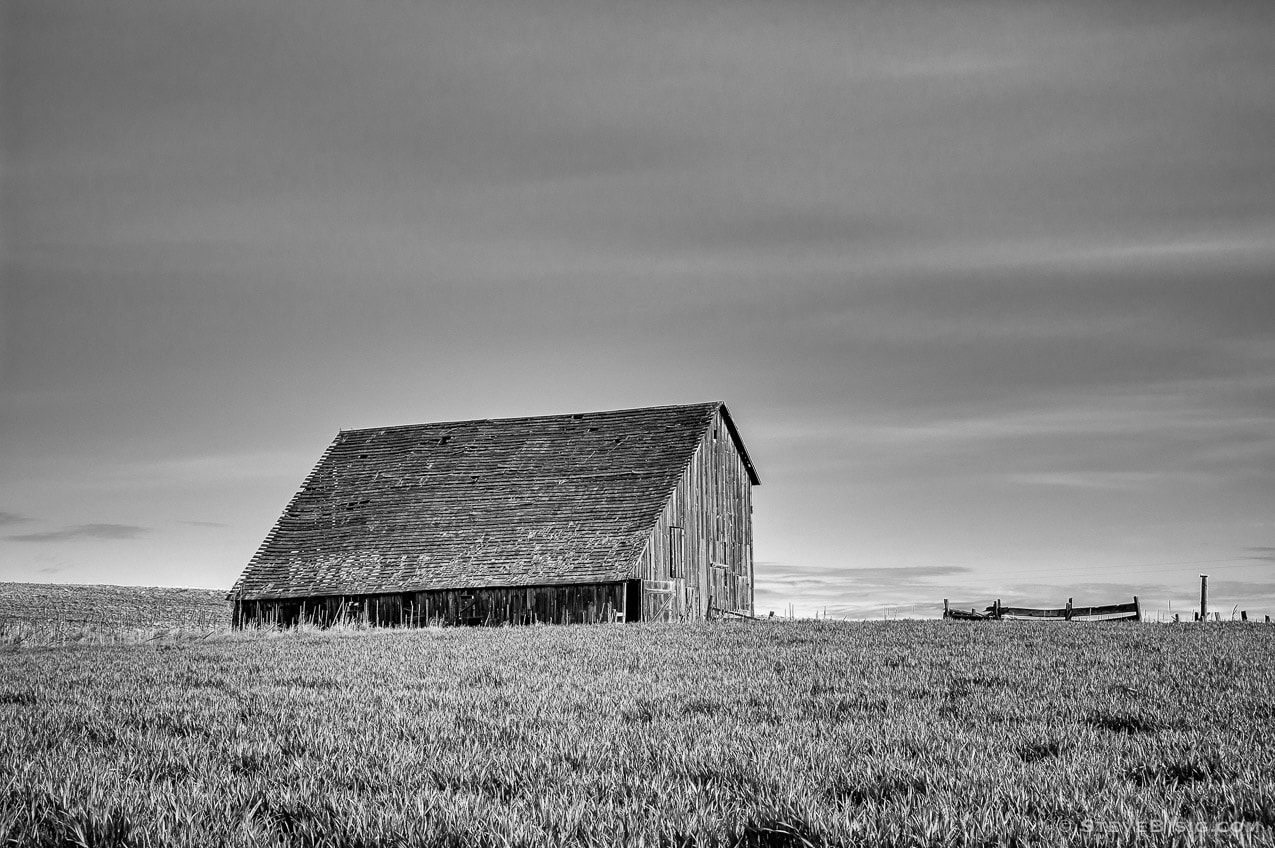 A black and white photograph of old barn on 8-1/2 Road NW in rural Douglas County, Washington.