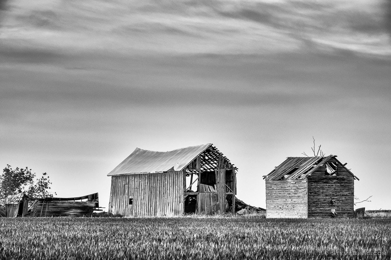 A black and white photograph of a pair of old abandoned barns on K Road in rural Douglas County, Washington.