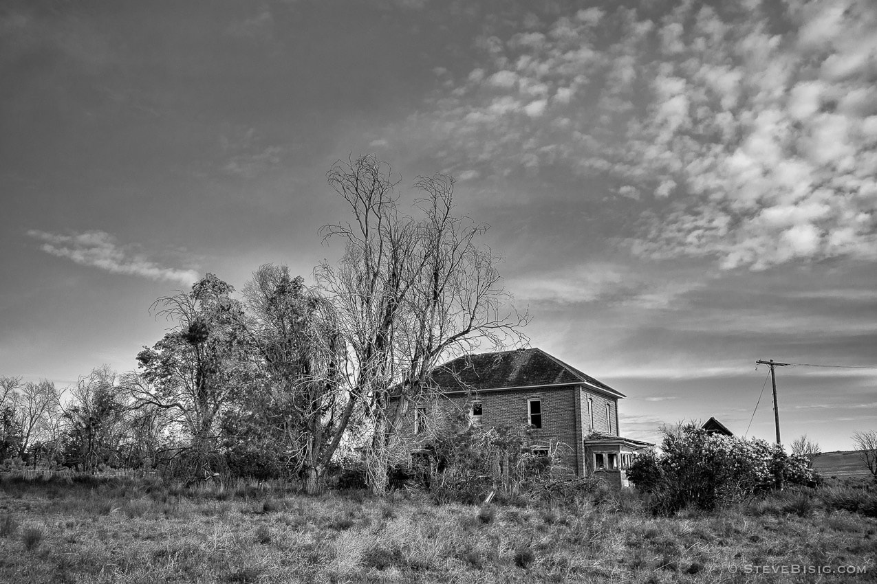 A black and white photograph of old abandoned farmstead on D Road NW in rural Douglas County, Washington.