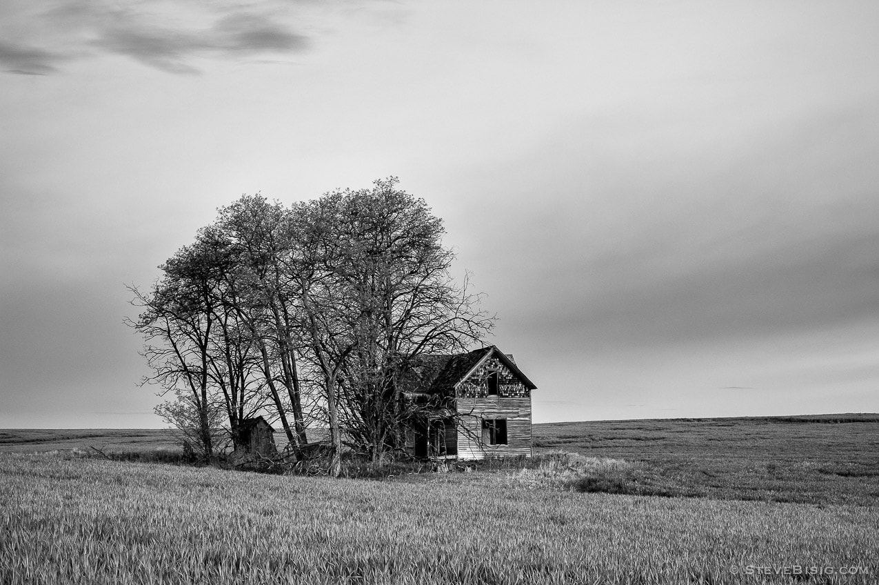 A black and white photograph of old abandoned house in rural Douglas County, Washington.