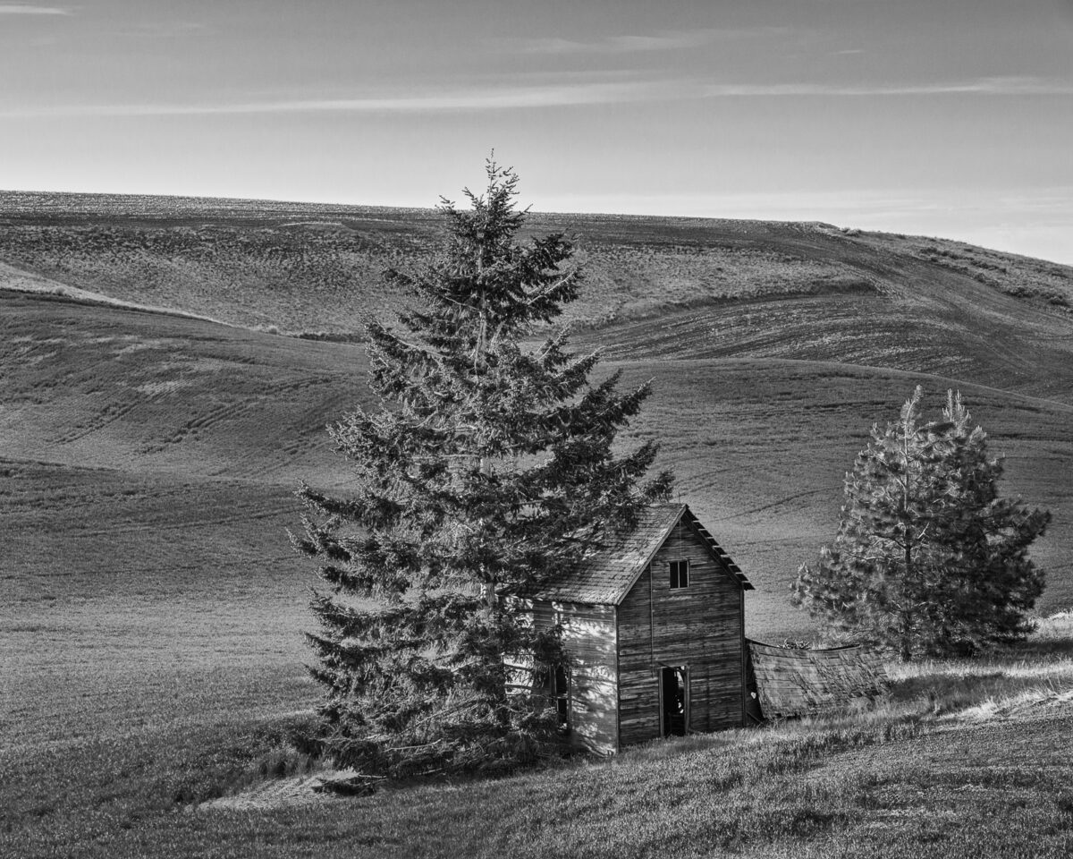 A black and white photograph of an old farmhouse in rural Douglas County, Washington.
