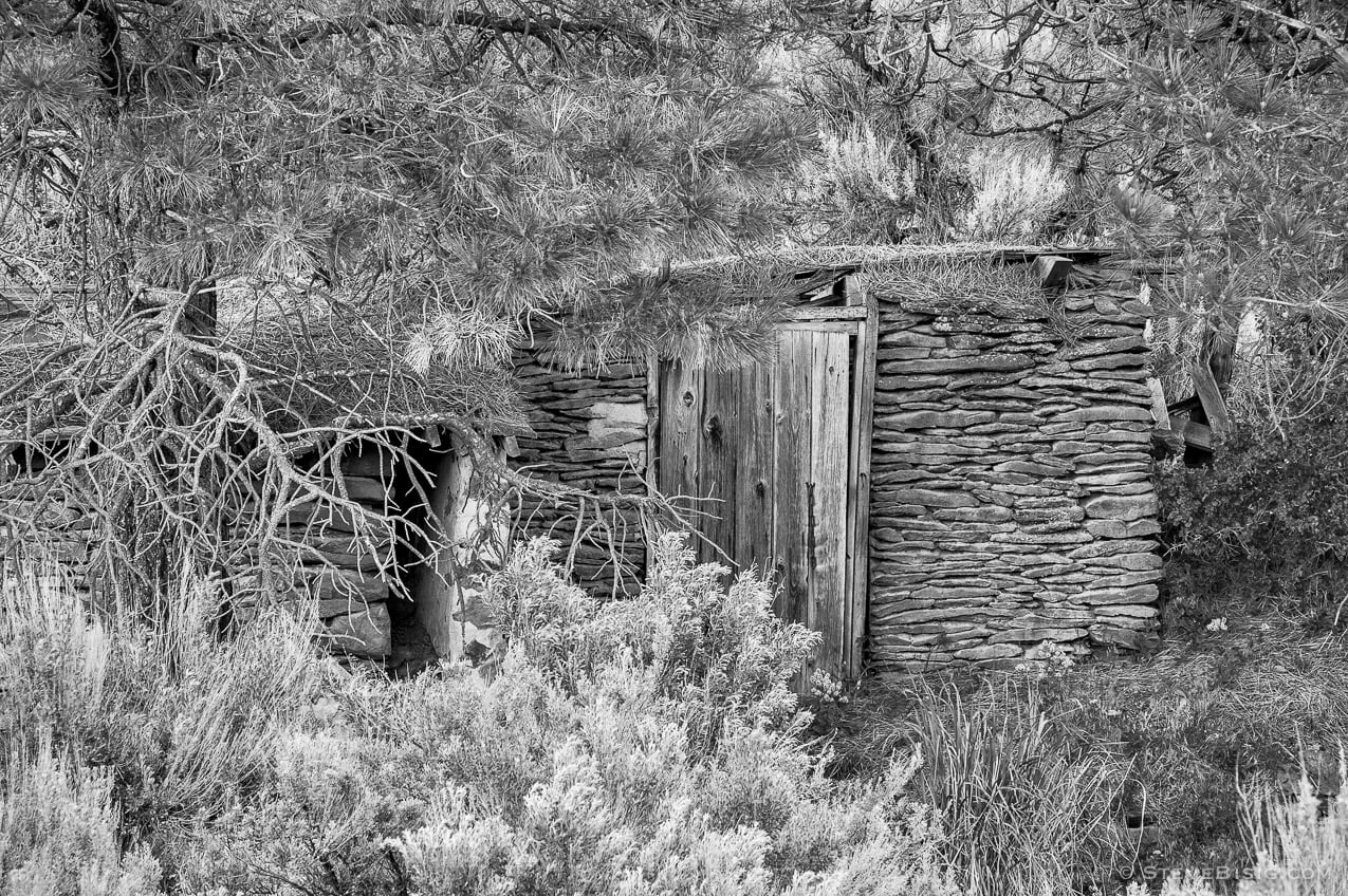 A black and white photograph of an old abandoned root cellar in rural Alstown, Washington.