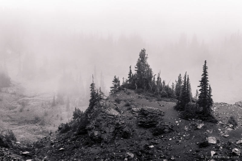 Foggy Alpine Landscapes No. 5, Mt Rainier National Park, Washington, 2014