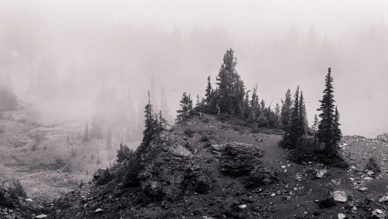 Photography Project: Foggy Alpine Landscapes, Mt Rainier National Park, Washington, 2014