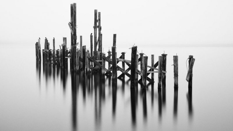 Photography Project: Foggy Morning on the Puget Sound, Tacoma, Washington, 2014