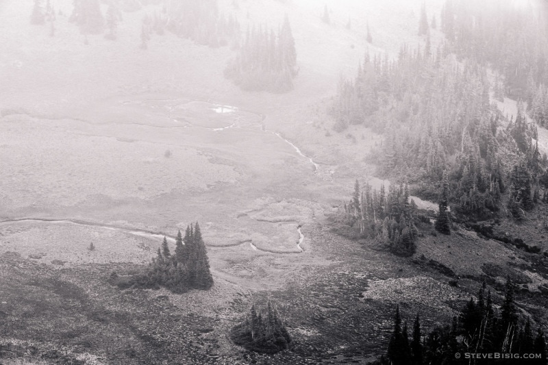 Foggy Alpine Landscapes No. 2, Mt Rainier National Park, Washington, 2014