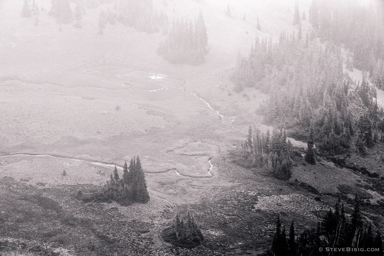 A black and white photograph looking down into the Huckleberry Basin as seen from the Sourdough Ridge Trail on a foggy, late Summer day during a visit to the Sunrise area of Mount Rainier National Park, Washington.