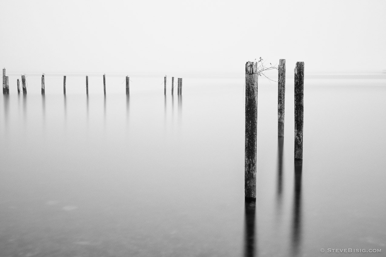A black and white photograph of old dock pilings along the Puget Sound at Cummings Park in Tacoma, Washington.