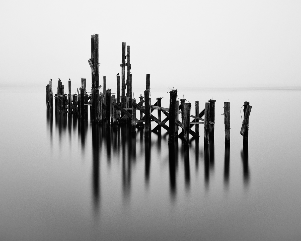A black and white photograph of old dock pilings from the Dickman Mill on the Puget Sound, Ruston Way, Tacoma, Washington.