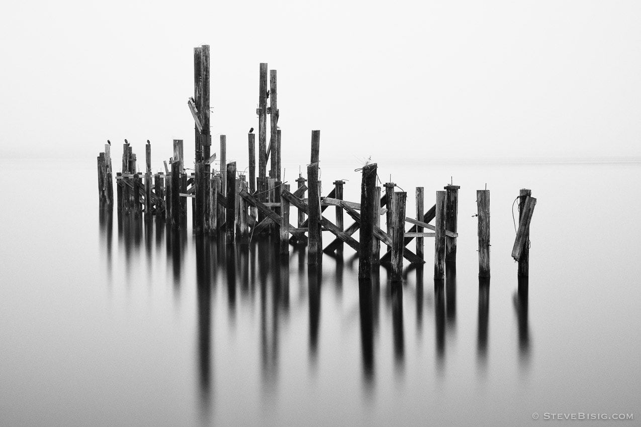 A black and white photograph of old dock pilings from the Dickman Mill on the Puget Sound, Ruston Way, Tacoma, Washington.