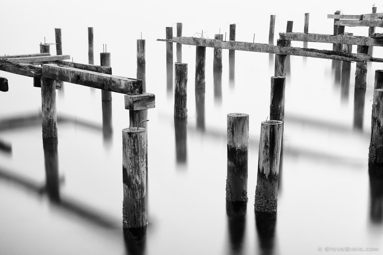 A black and white photograph of old pilings on the Puget Sound on a foggy morning at Cummings Park, Tacoma, Washington.
