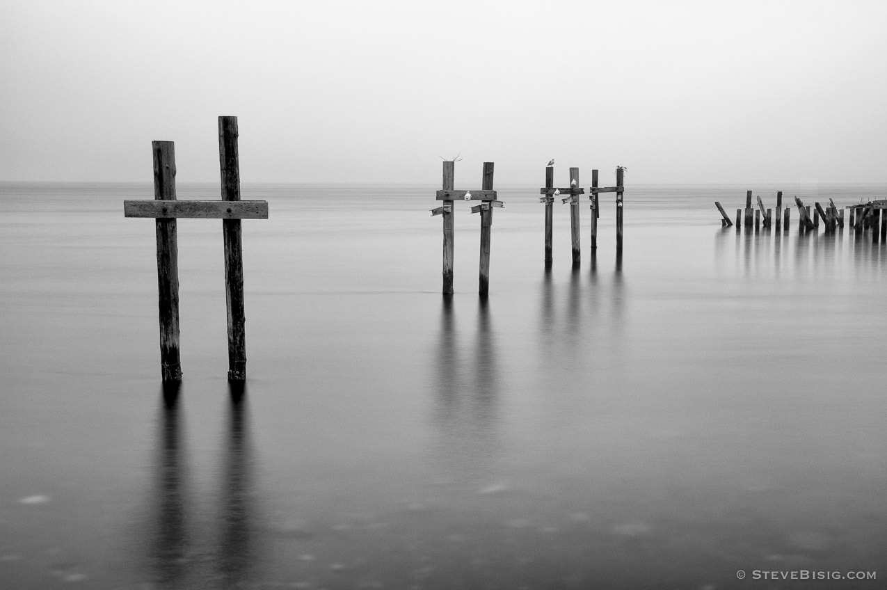 A black and white photograph of old pilings on the Puget Sound at the Dickman Mill Park in Tacoma, Washington.