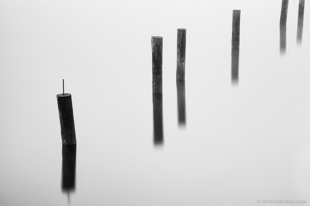 A black and black and white photograph of old pilings on the Puget Sound on a foggy winter day at Cummings Park, Tacoma, Washington.