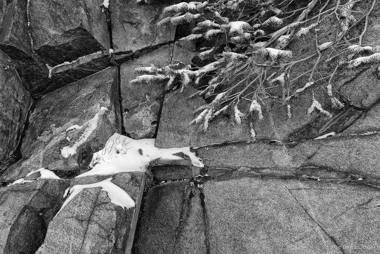 A black and white photograph of a closeup image of a rock wall with fresh autumn snow and a tree limb near Sunrise at Mount Rainier National Park, Washington.