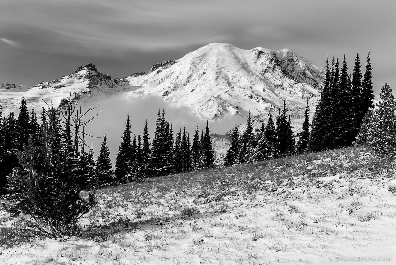 A black and white photograph of the first snowfall of autumn covering a tree lined meadow on a ridge near the Sunrise area at Mt Rainier National Park, Washington.