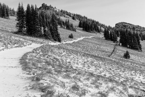 Sourdough Ridge Trail, Sunrise, Mount Rainier National Park, Washington ...