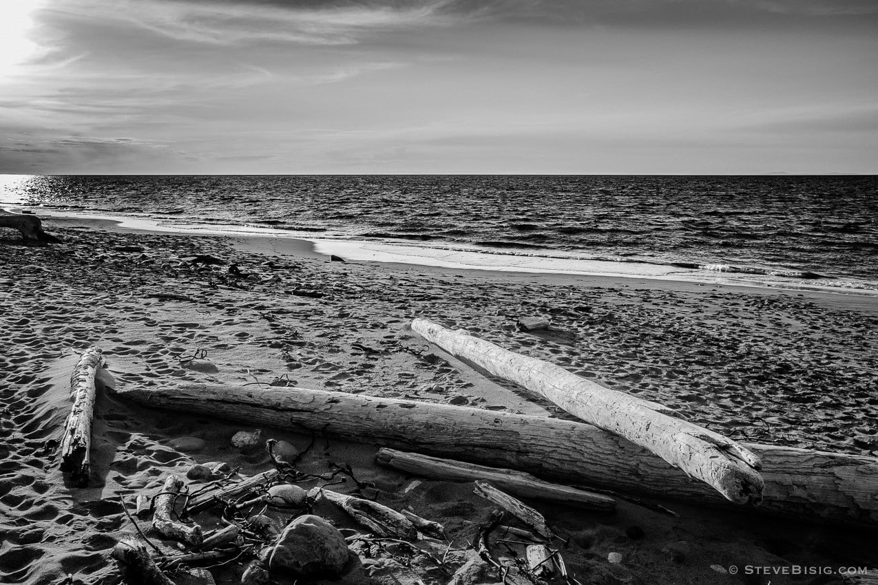 A black and white photograph of driftwood on a Strait of Juan de Fuca beach at Fort Worden State Park in Port Townsend, Washington.