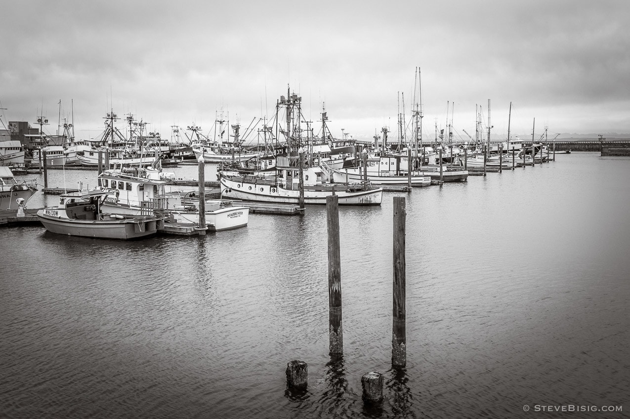 A black and white photograph of the marina and harbor at Westport, Washington.