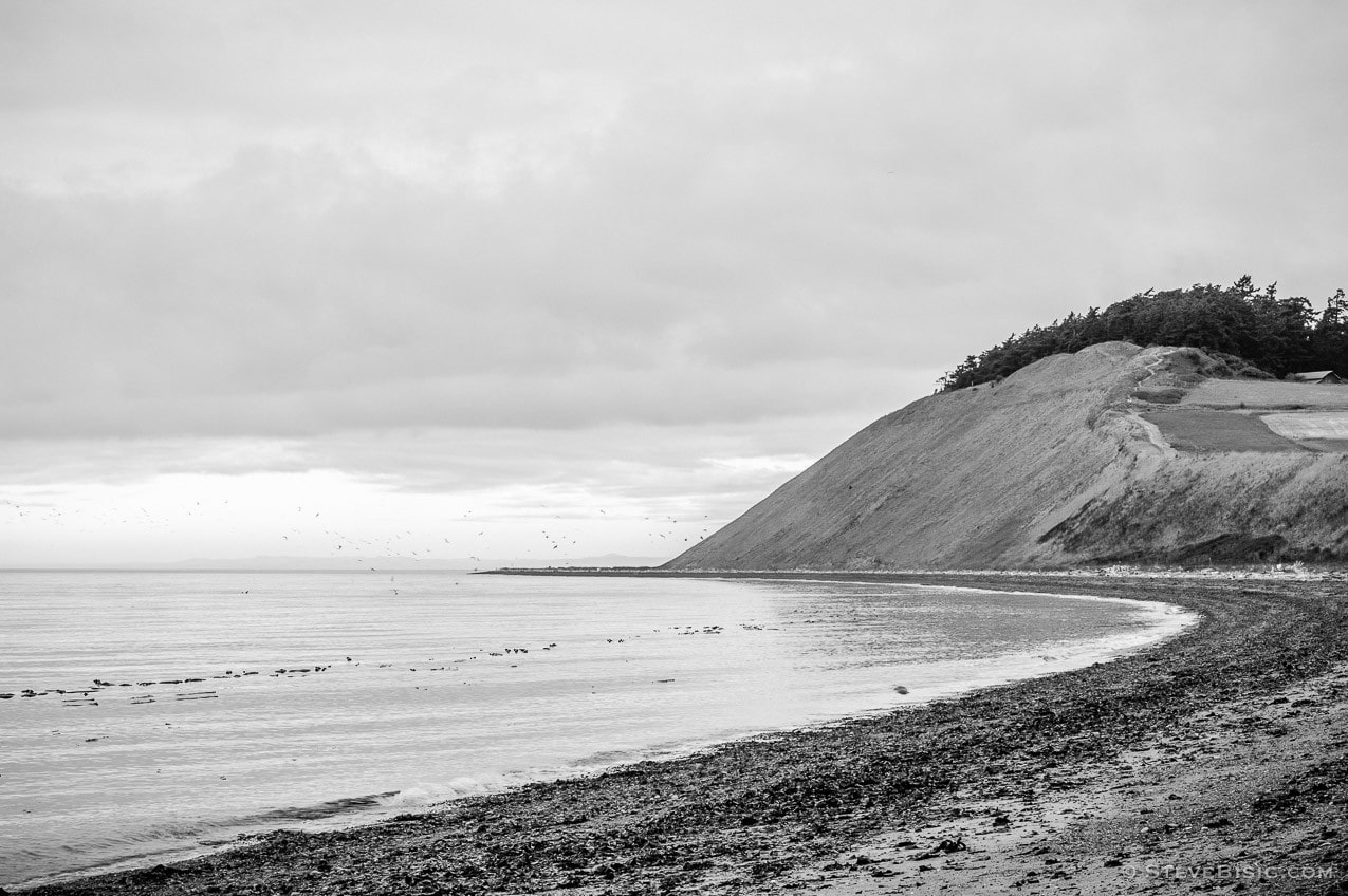 A black and white fine art photograph of the beach along the Puget Sound at Ebey's Landing on Whidbey island near Coupeville, Washington.