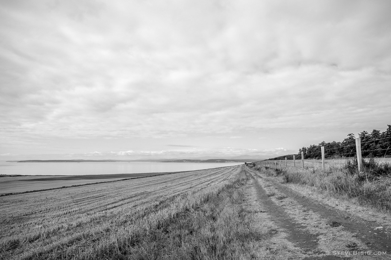 A black and white fine art photograph of the Ebey's Prairie Ridge Trail on Whidbey Island near Coupeville, Washington.