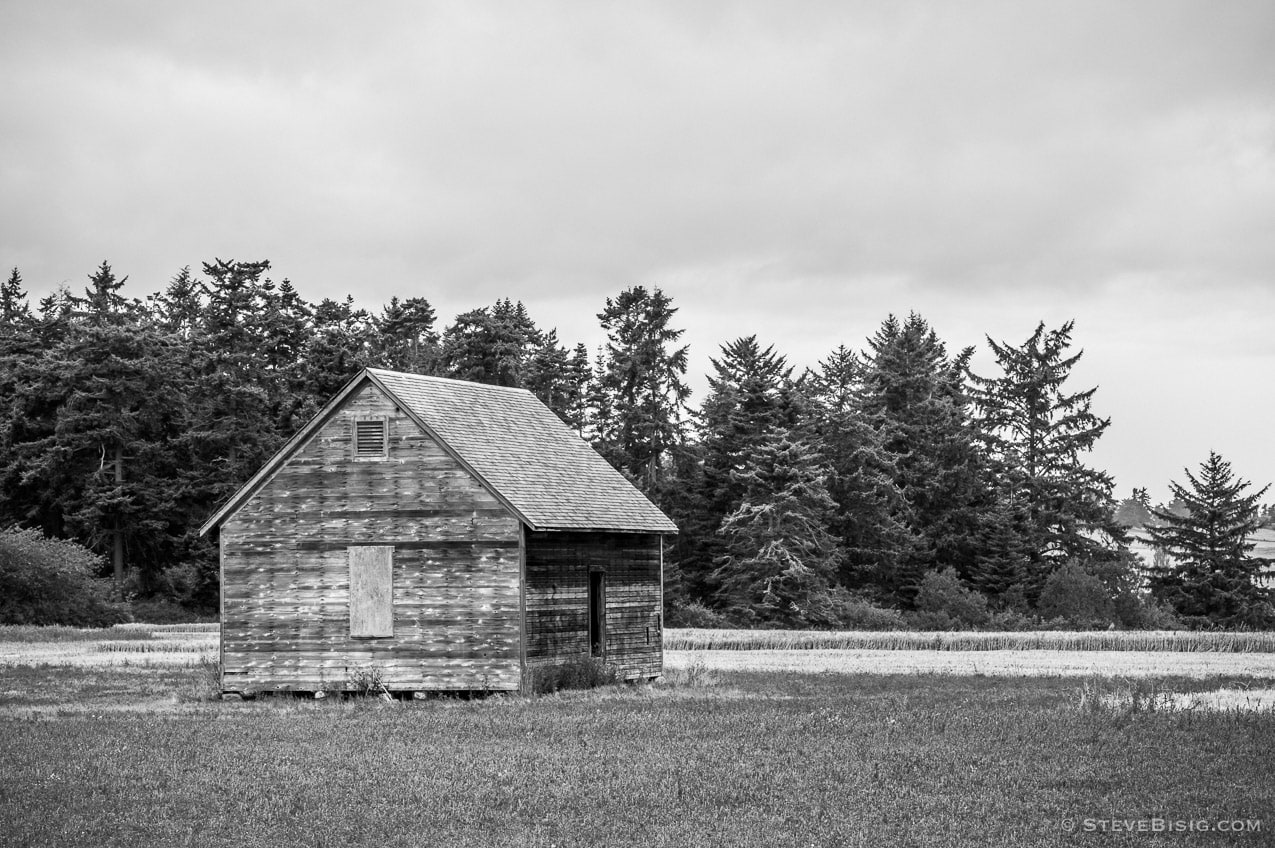 A black and white fine art photograph of an old farm shed along Hill Road on Whidbey Island near Coupeville, Washington.