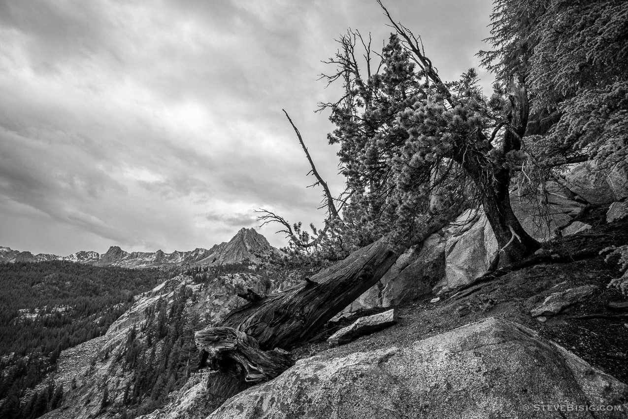 A black and white fine art photograph of the Sierra Nevada near Mammoth Lakes, California as seen from the Crystal Lake trail. 