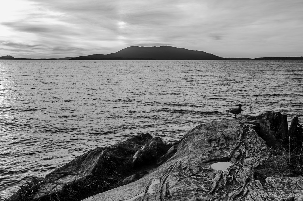 A black and white fine art photograph of the rocky coastline at Larrabee State Park in Whatcom County near Bellingham, Washington.