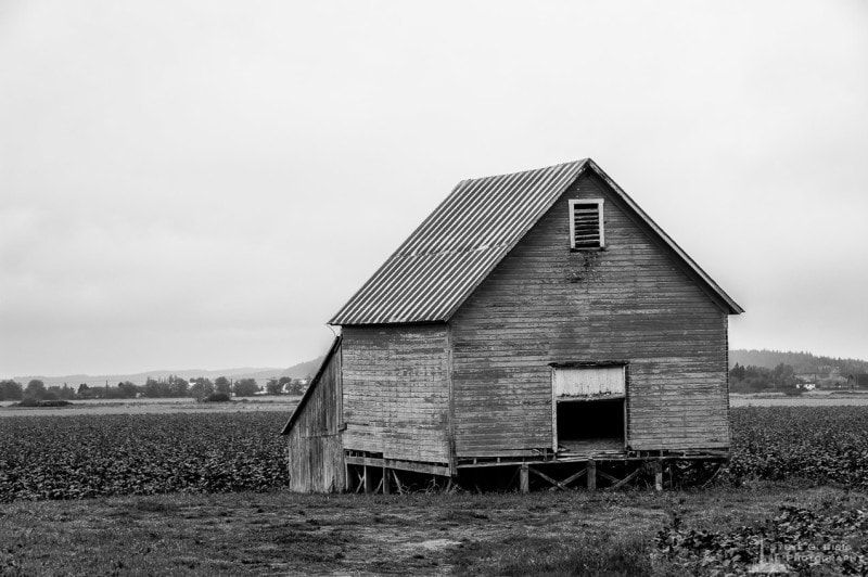 Barn, Snohomish County, Washington, 2015