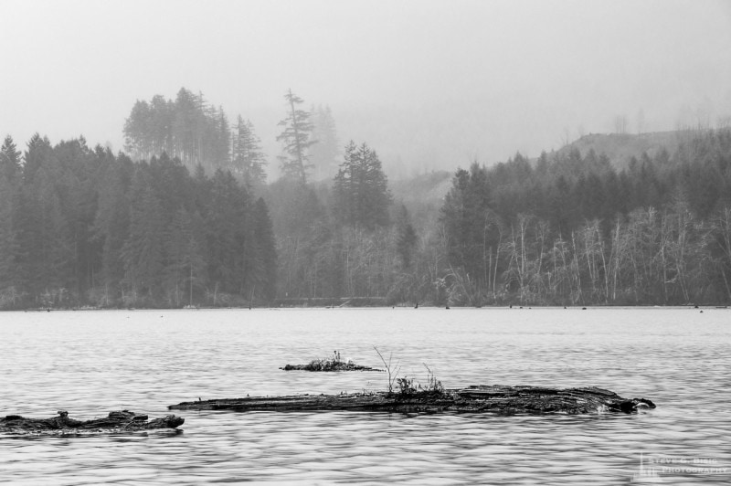 Lake Kapowsin, Washington, 2015