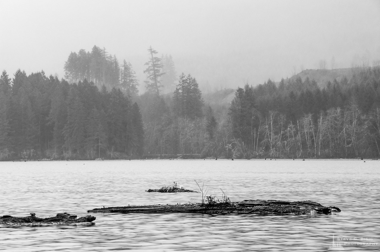 A black and white photograph of Lake Kapowsin in Pierce County, Washington on a foggy Winter day.