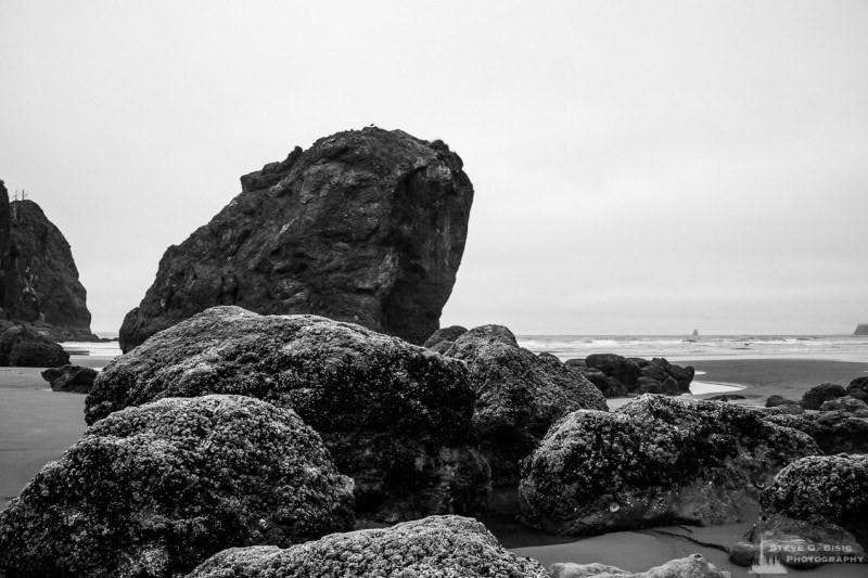 A black and white landscape photograph of coastal rocks at Ruby Beach in the Olympic National Park in Washington State.