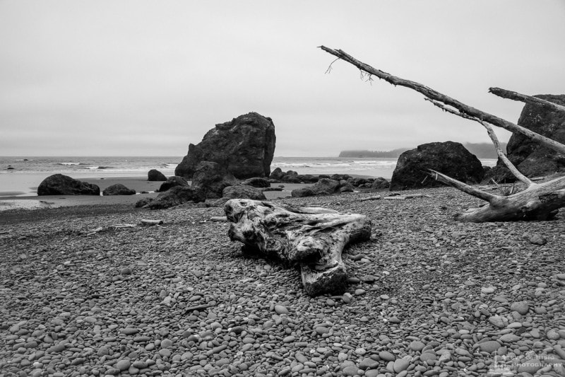 Rocky Shoreline, Ruby Beach, Olympic National Park, Washington, 2013