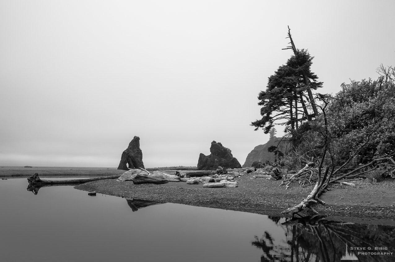 A black and white landscape photo of the shoreline at Ruby Beach in the Olympic National Park in Washington State.