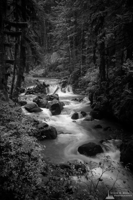 A black and white photograph of Sulfur Creek near Mount Baker, Washington.