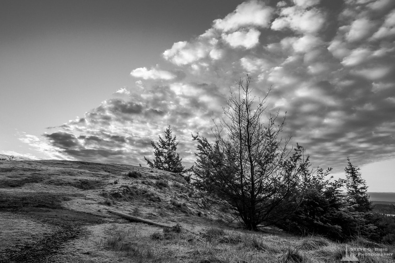 A black and white photograph of a band of Winter clouds in the sky above Goose Rock on Whidbey Island at Deception Pass State Park, Washington.