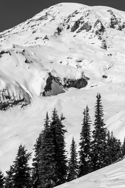 Alpine Winter, Mount Rainier, Washington, 2016
