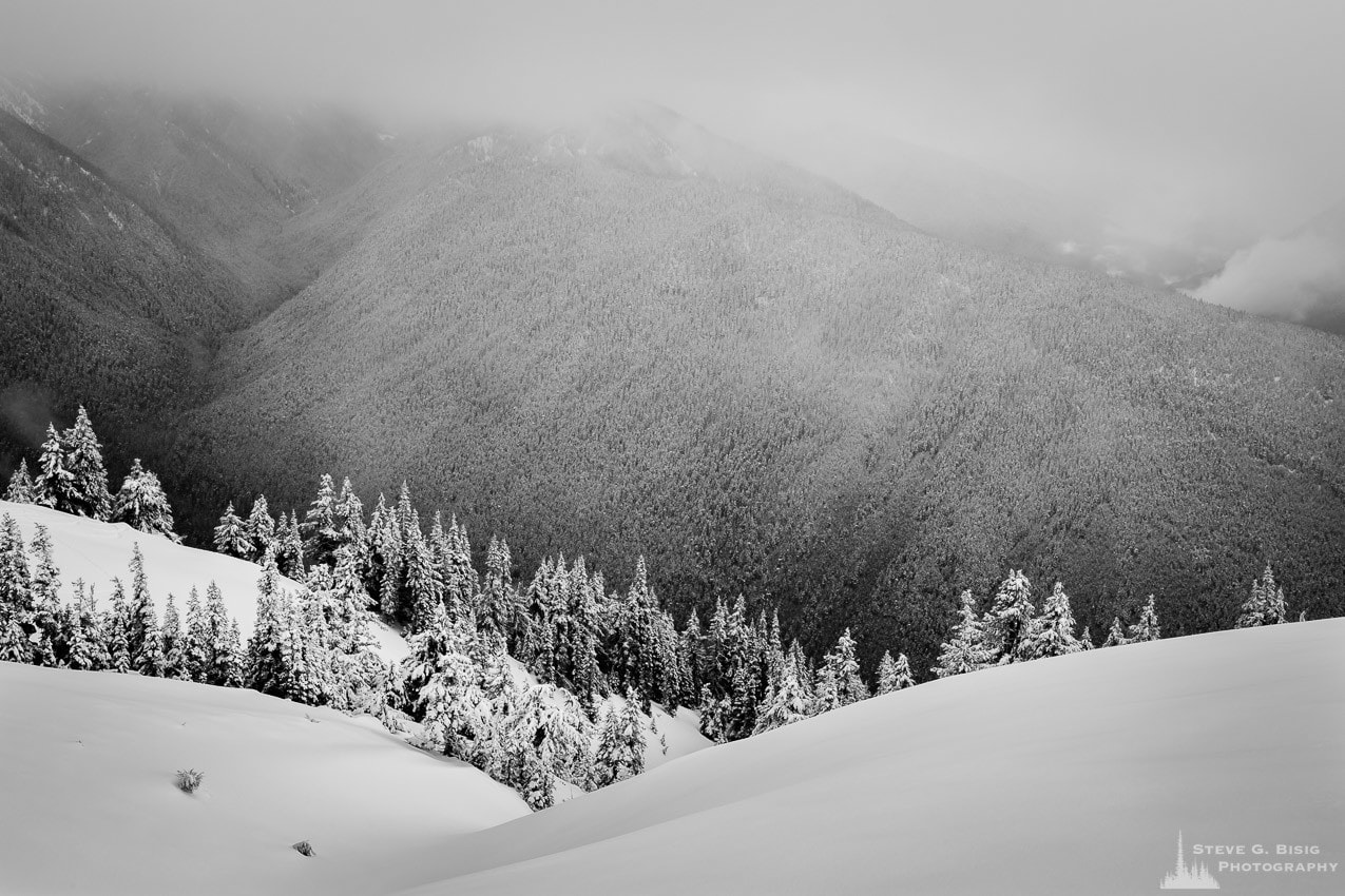A black and white photograph of the scenic views on a cloudy Winter day as seen from Hurricane Ridge, Olympic National Park, Washington.