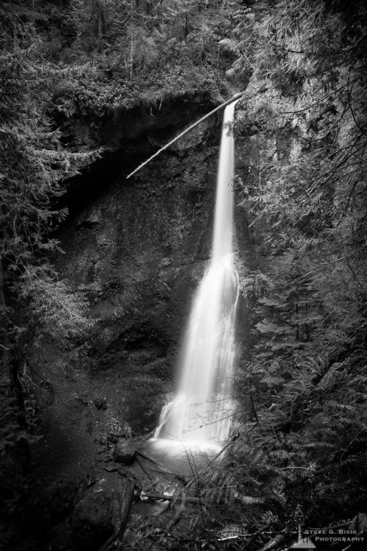 Marymere Falls, Olympic National Park, Washington, 2016