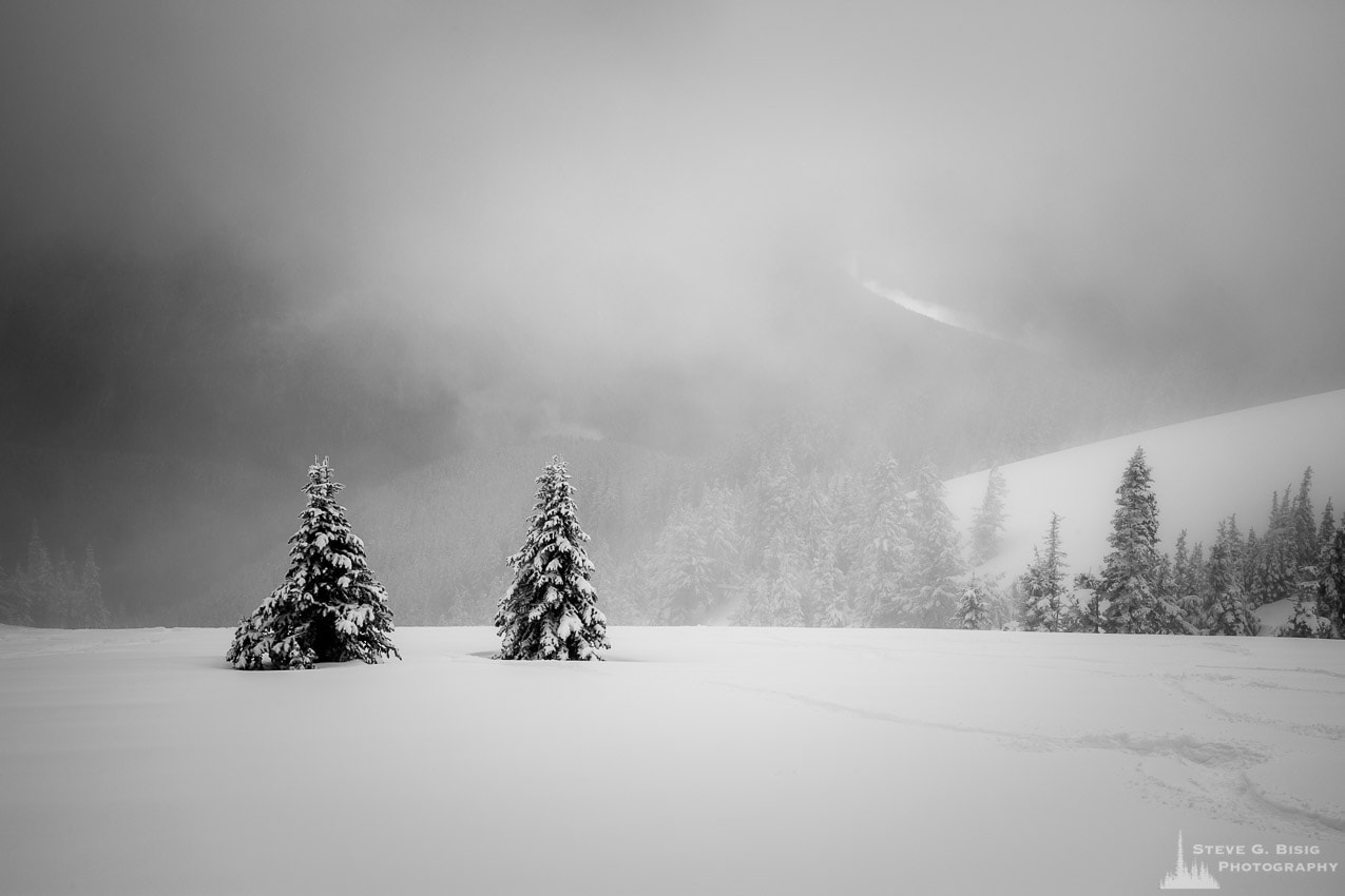 A black and white photograph of a snowy landscape on a cloudy Winter day at Hurricane Ridge in the Olympic National Park, Washington.