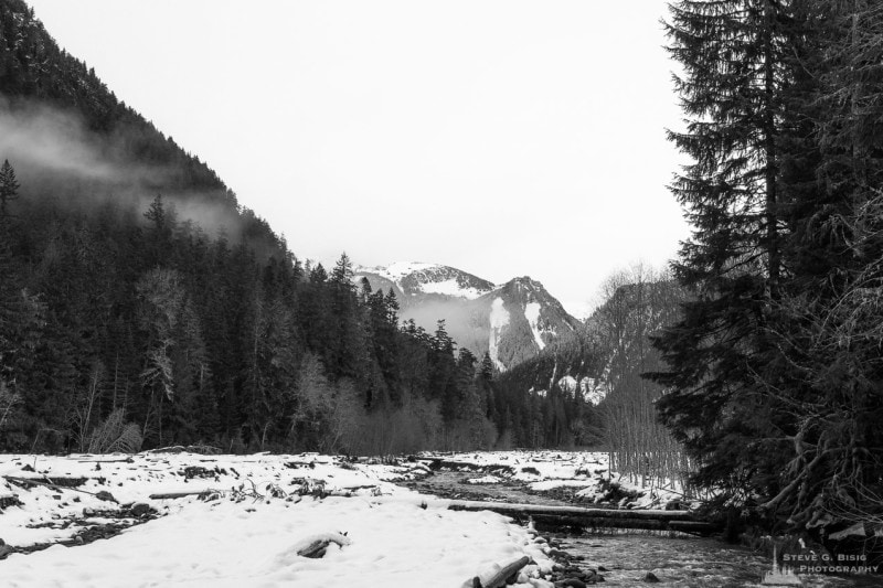Winter, Carbon River Valley, Mount Rainier National Park, Washington, 2016