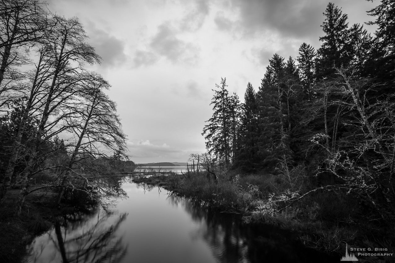 A black and white landscape photograph of the headwaters of the Ozette River as it leaves Ozette Lake in the Olympic National Park, Washington.