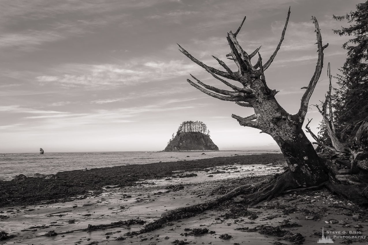 A black and white photograph of the Pacific Ocean during a Winter low tide at Cape Alava along the Washington state coast in the Olympic National Park.