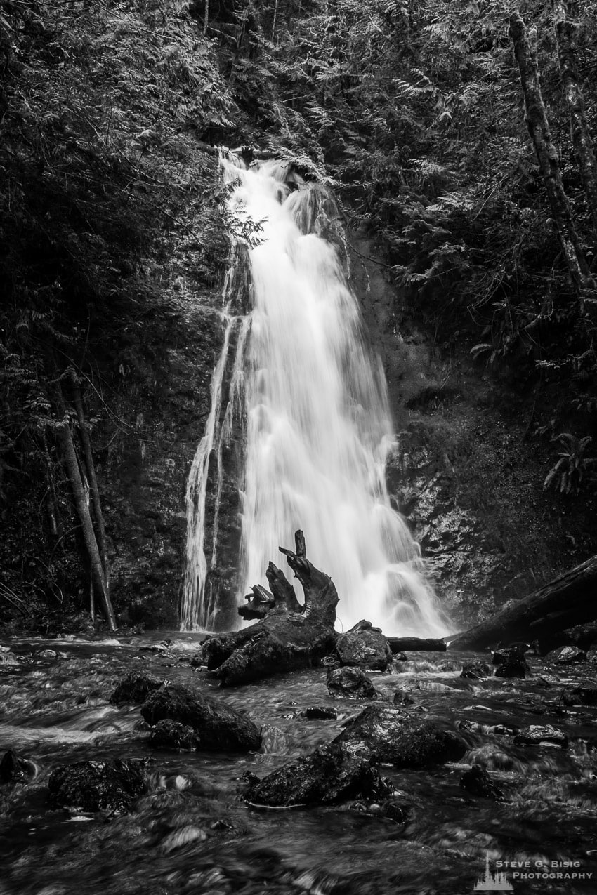 A black and white intimate landscape photograph of Madison Falls during Winter in the Olympic National Park, Washington.