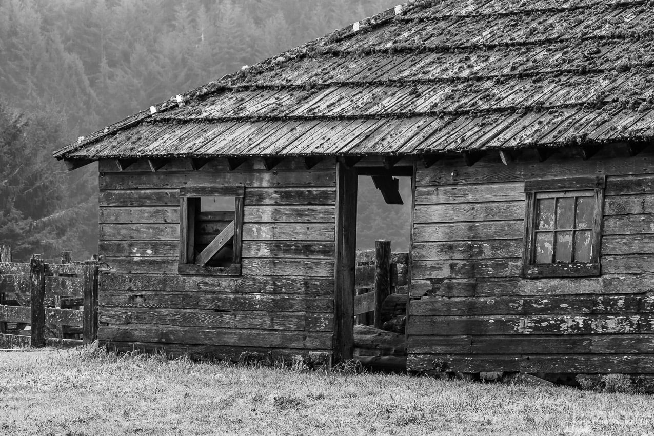 A black and white photograph of an old barn located at the Cowan Heritage Ranch in the Hoko River State Park in rural Clallam County, Washington.