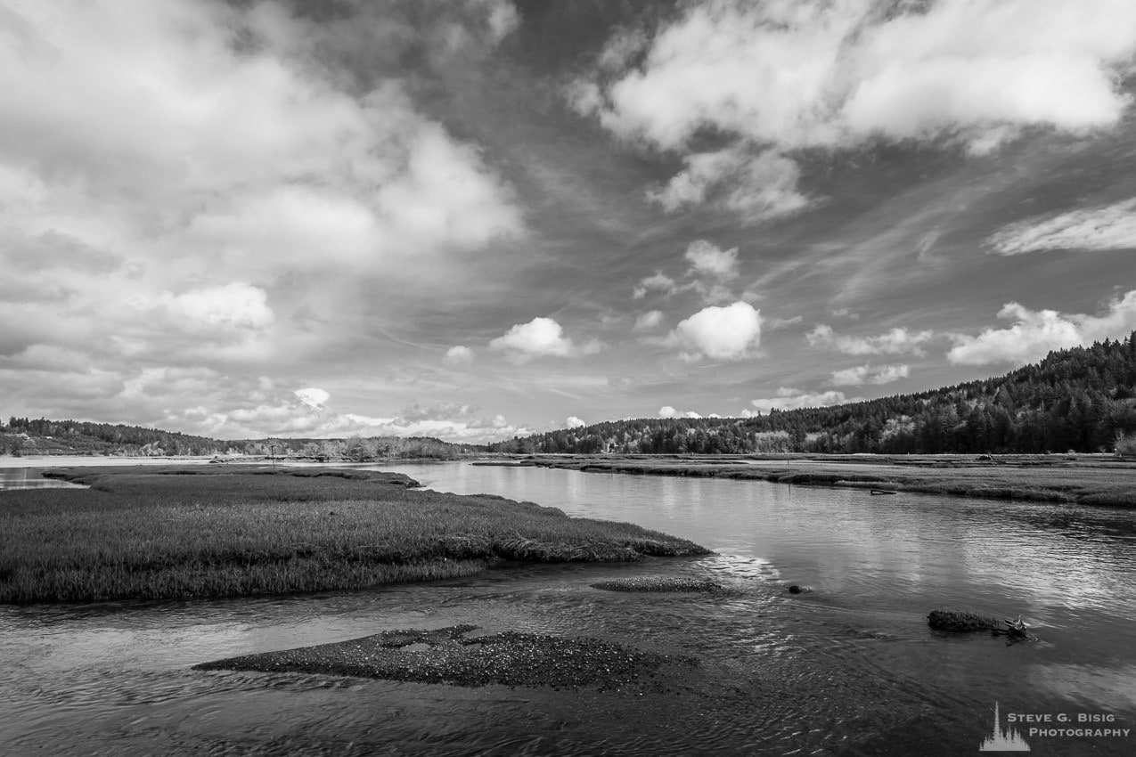 A black and white photograph of Oyster Bay on a sunny Winter day near the Kennedy Creek Natural Area Preserve in rural Thurston County, Washington.