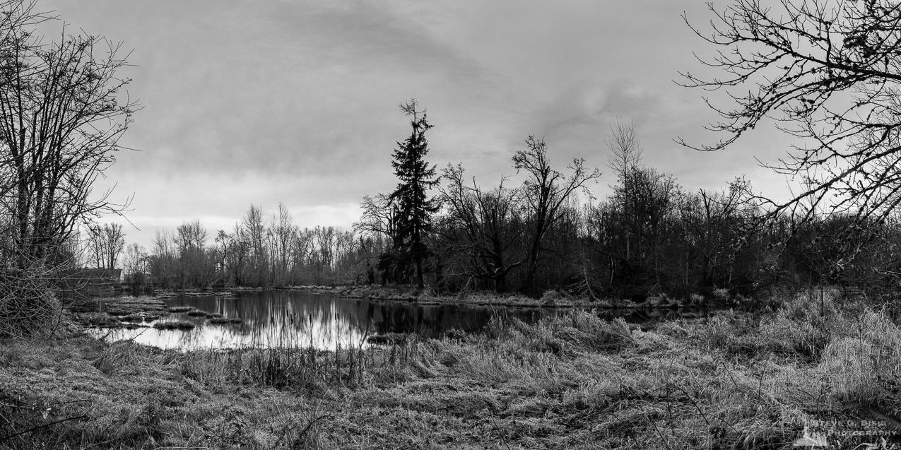 A black and white panoramic photograph of dark Winter cloudy skies over a pond at the Nisqually National Wildlife Refuge in Thurston County, Washington.