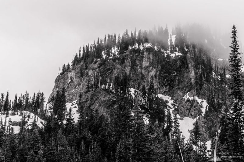 Foggy Crystal Peak, Mount Rainier National Park, Washington, 2016