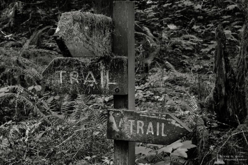 A black and white photograph of old forest trail signs from a photography project titled "Highlights of the Forest" captured at the Federation Forest State Park near Greenwater, Washington.